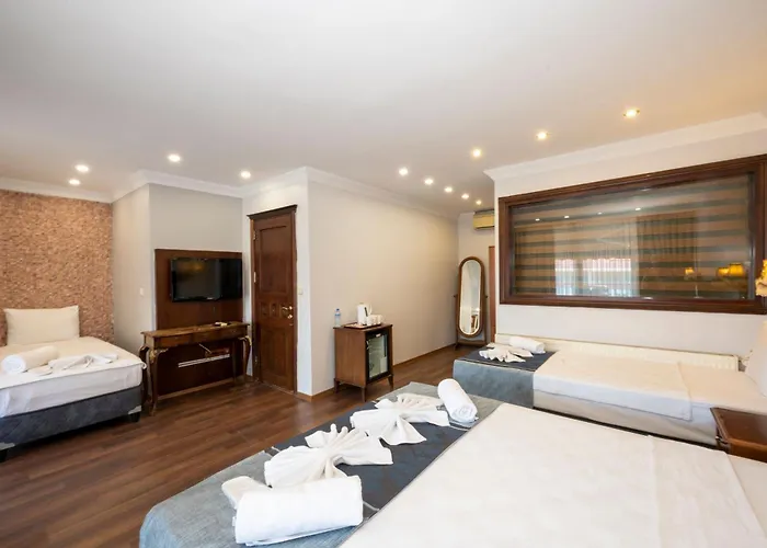 Turquoise House Sultanahmet 3* İstanbul